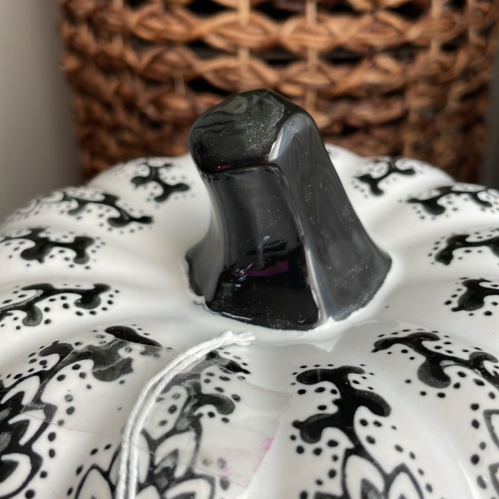 🍁HPx3🍁Black & White Boho Chic Ceramic Pumpkin Decor! NWT - Picture 16 of 16